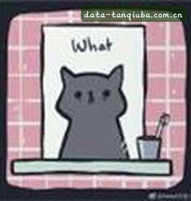 刘洋