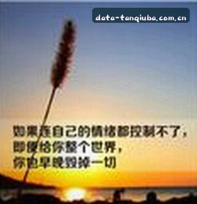 周莉